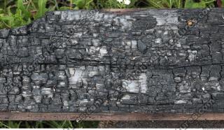 Photo Textures of Wood